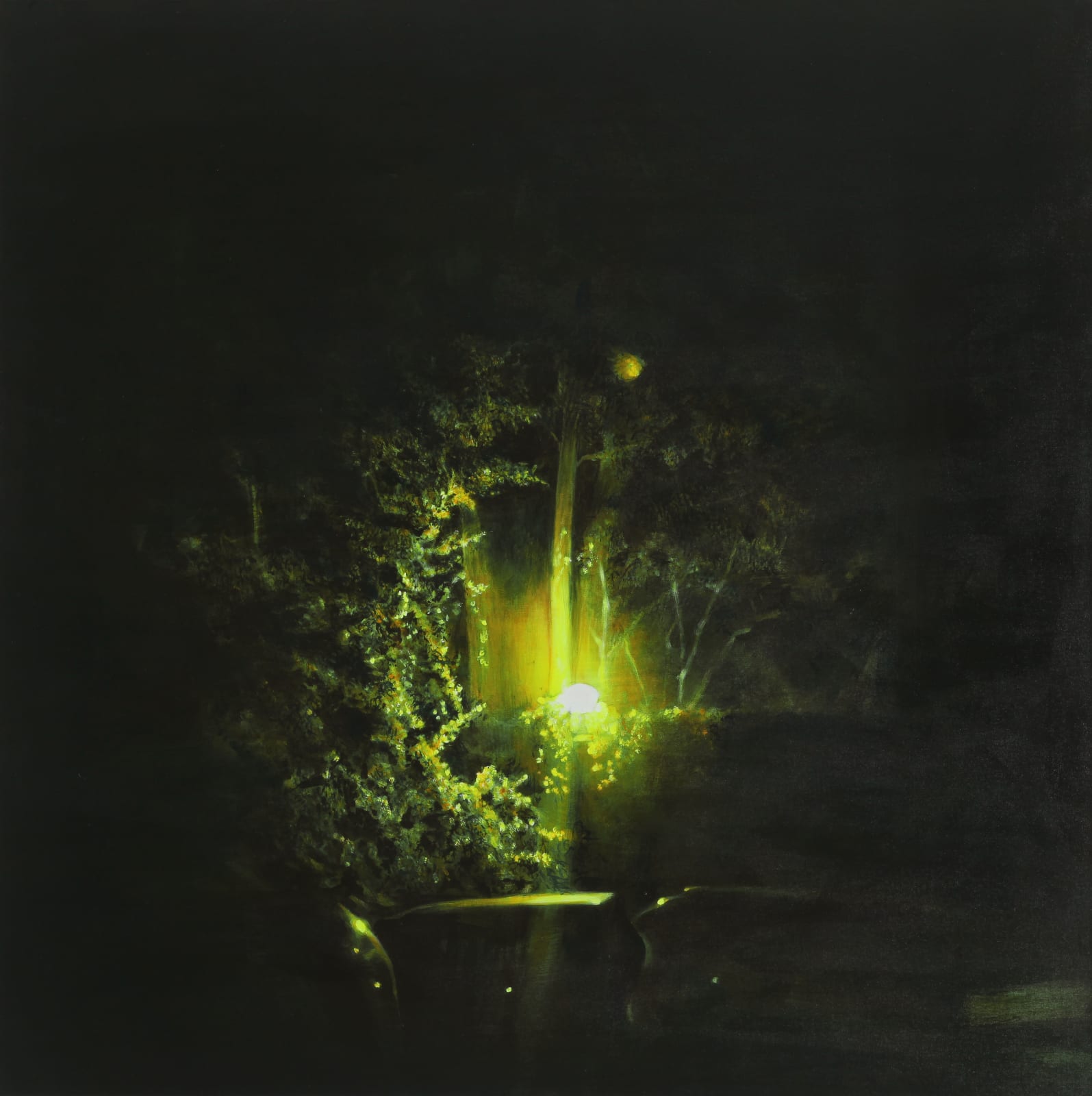 KONG Sunghun, Tree, 2004