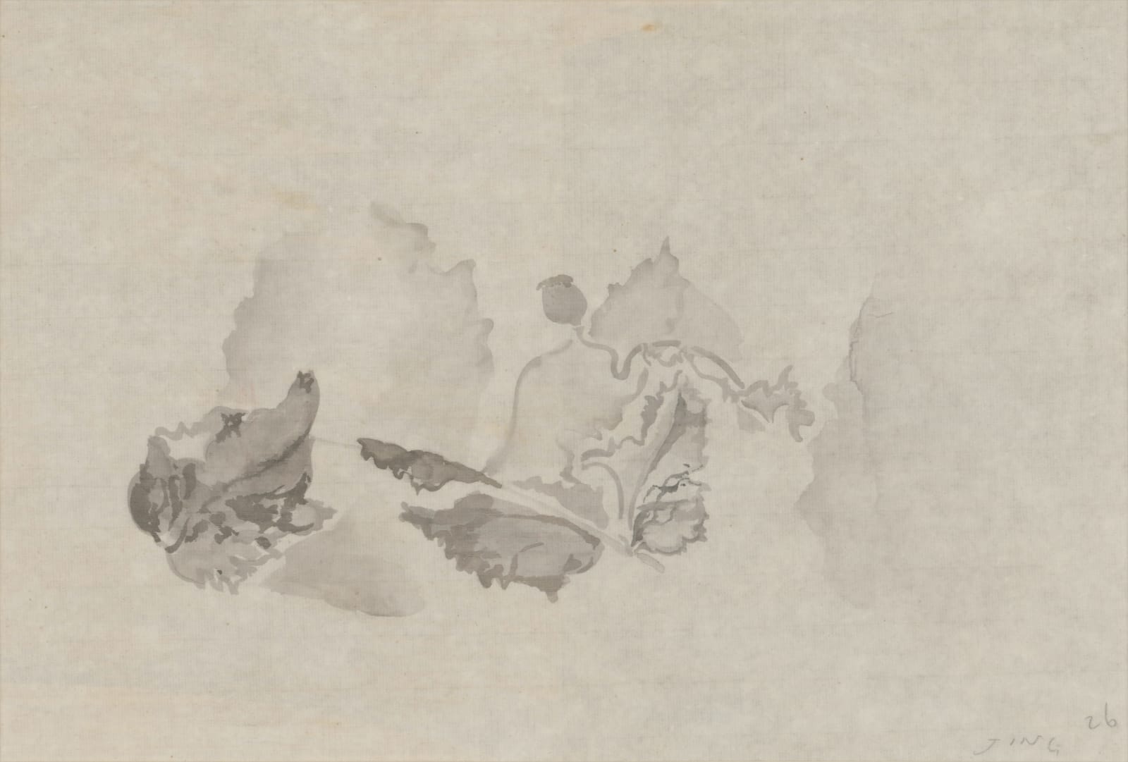 JING Shijian, Poppy 罂粟, 2010s