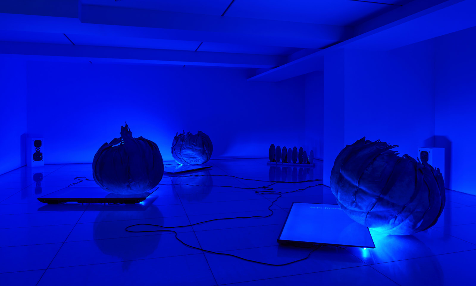 Yohan HÀN, Metamorphosis 메타모포시스, 2022-2025