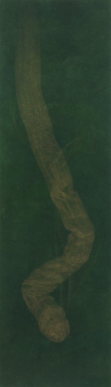 LEE Eunsil, 사라진 음경골, 2019