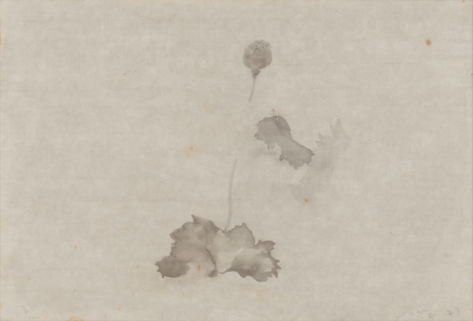 JING Shijian, Poppy 罂粟, 2010s