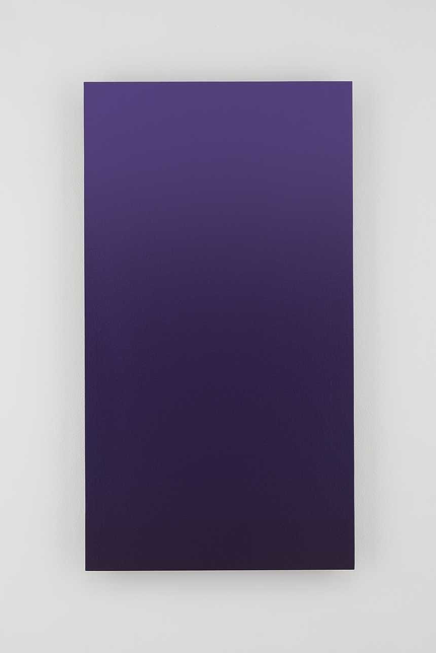 Toru KAMIYA, Coyote, 2016