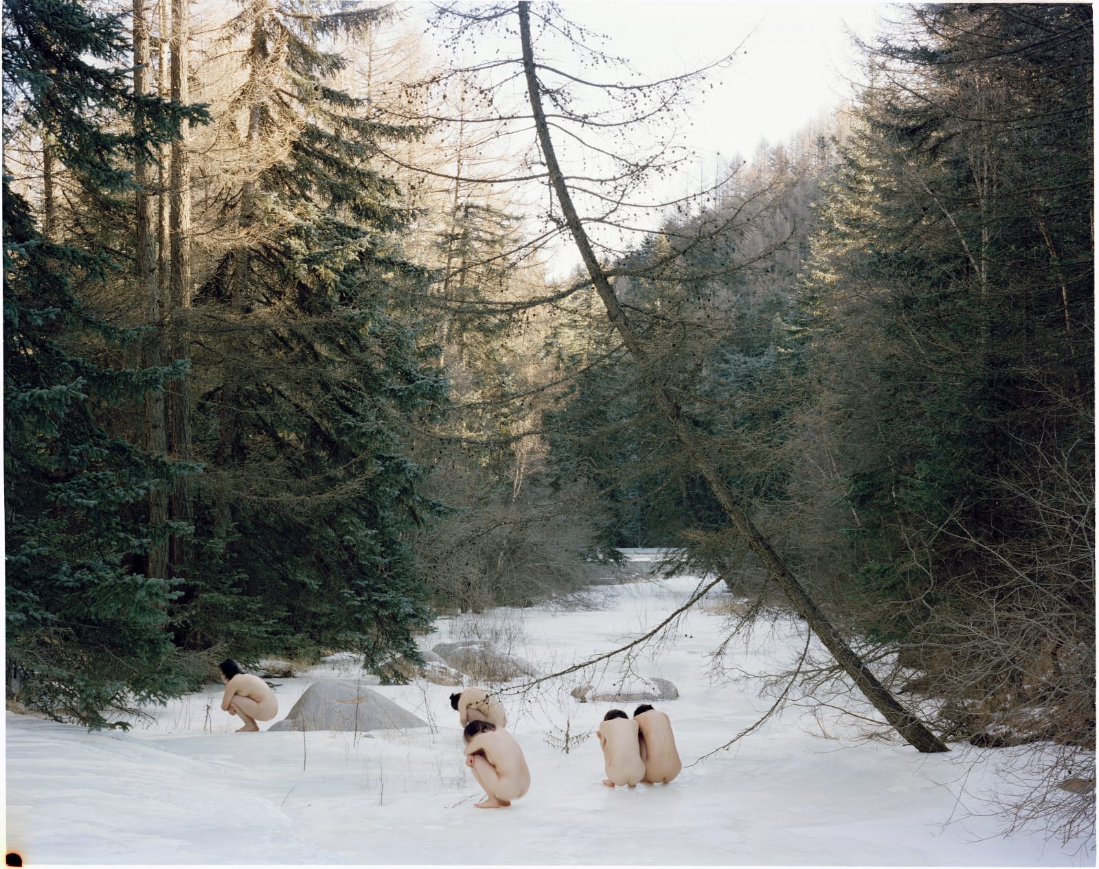 甘莹莹 GAN Yingying, 躯 Flesh & Bones, 2019