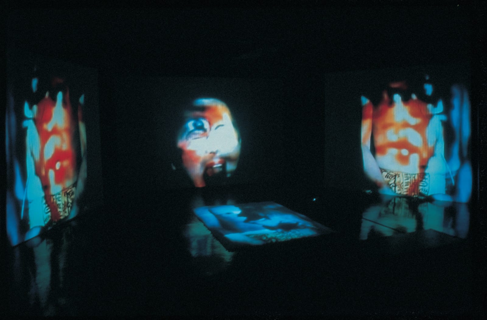 Nalini MALANI, Hamletmachine, 2000