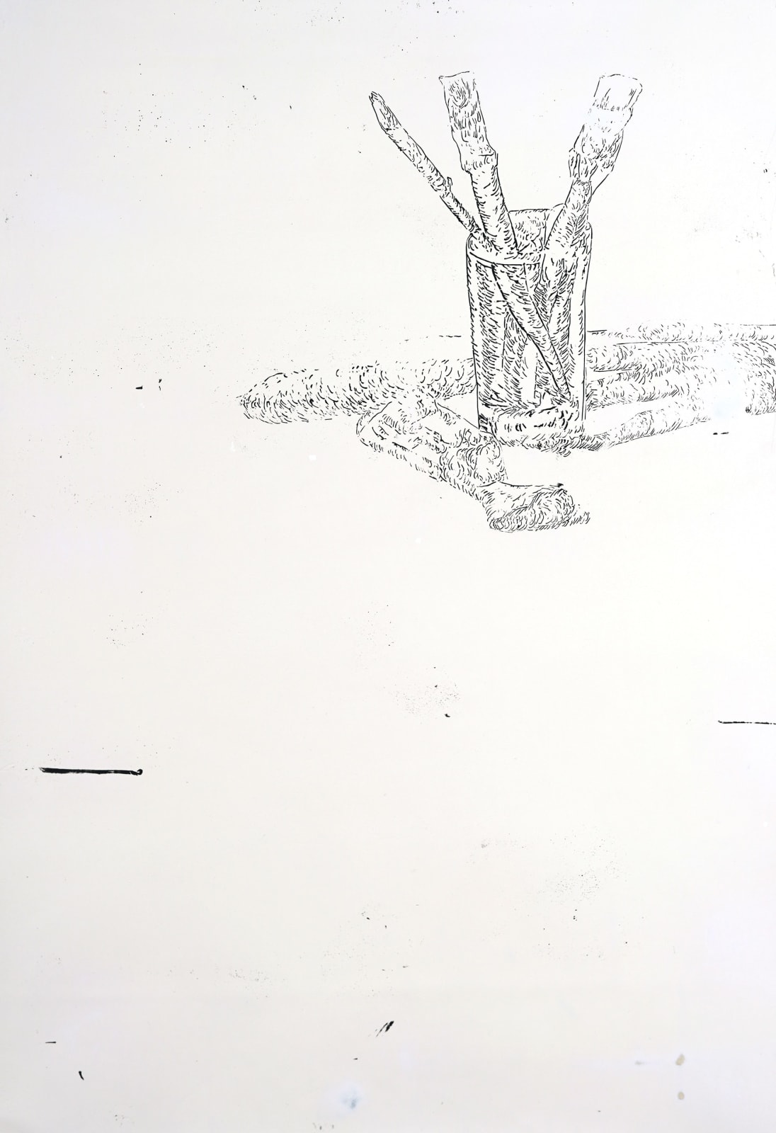 LIM Nosik, WD 30, 2024