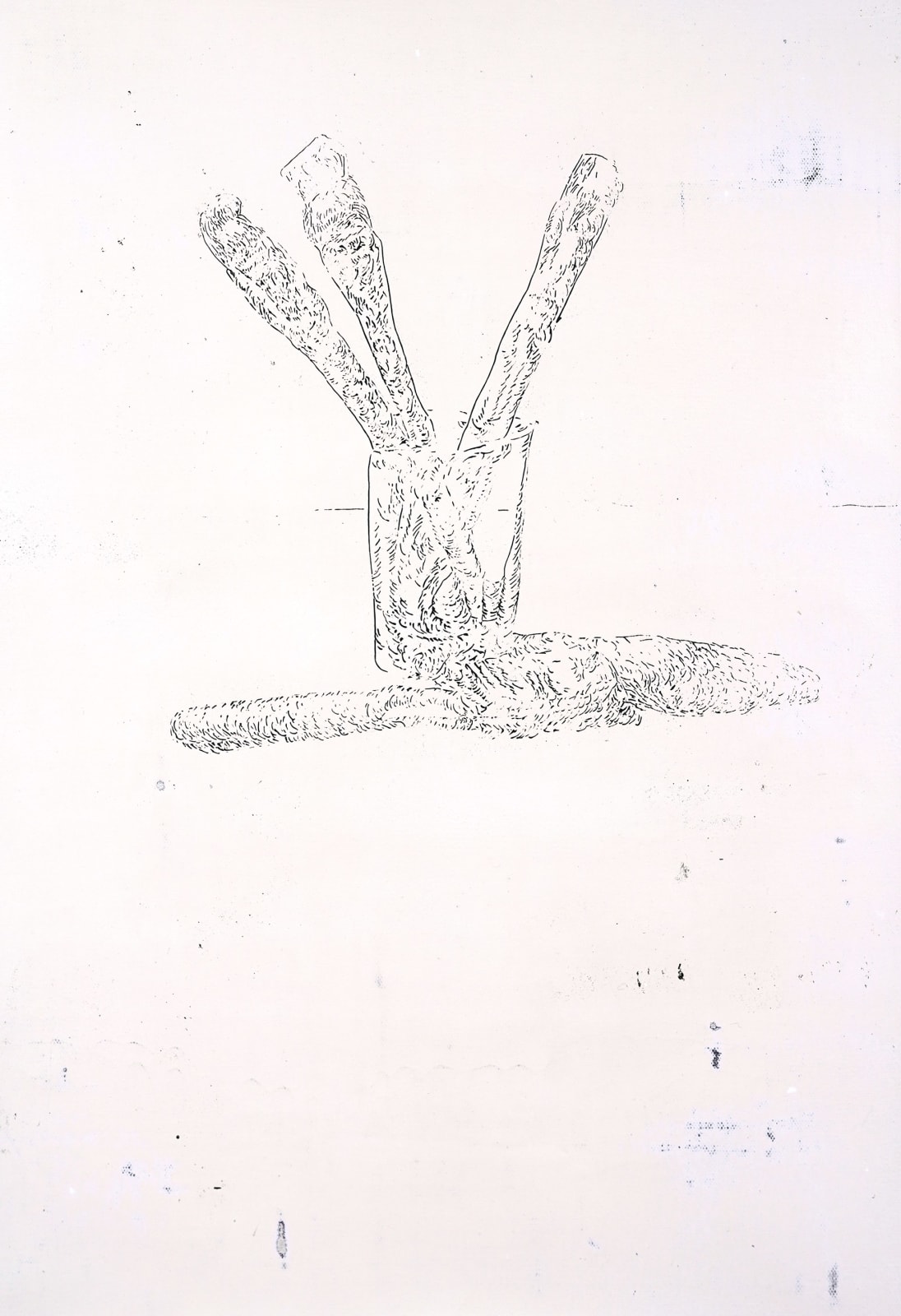 LIM Nosik, WD 33, 2024