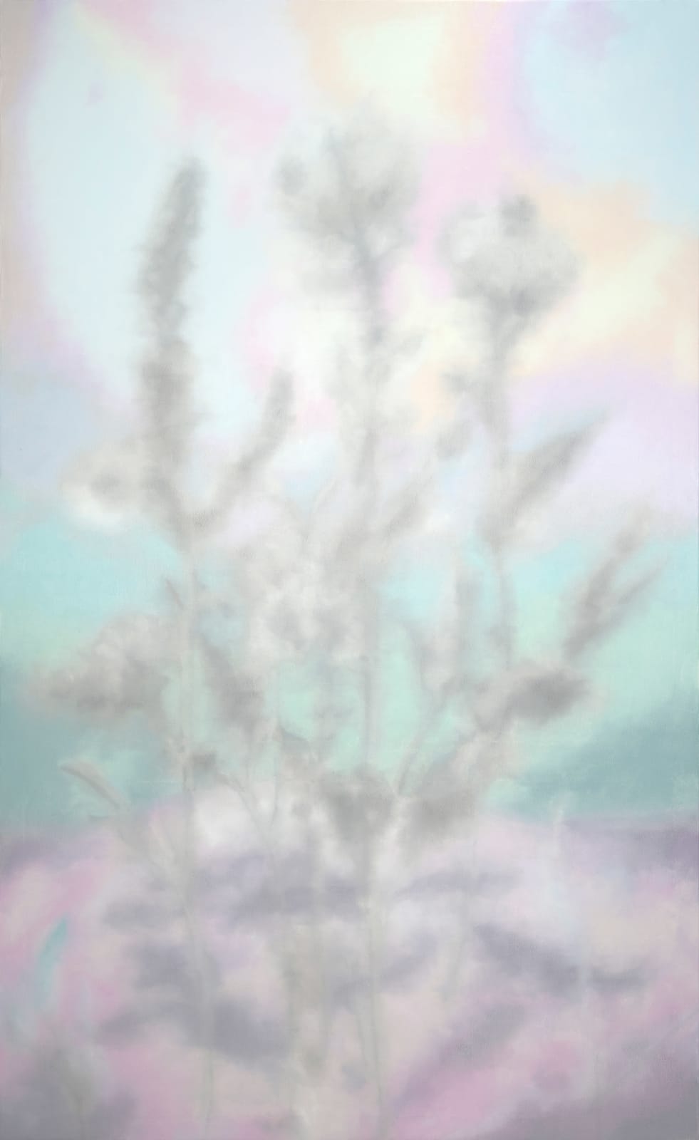 LIM Nosik, Wildflower - Landscape 40 들꽃 - 풍경 40, 2025
