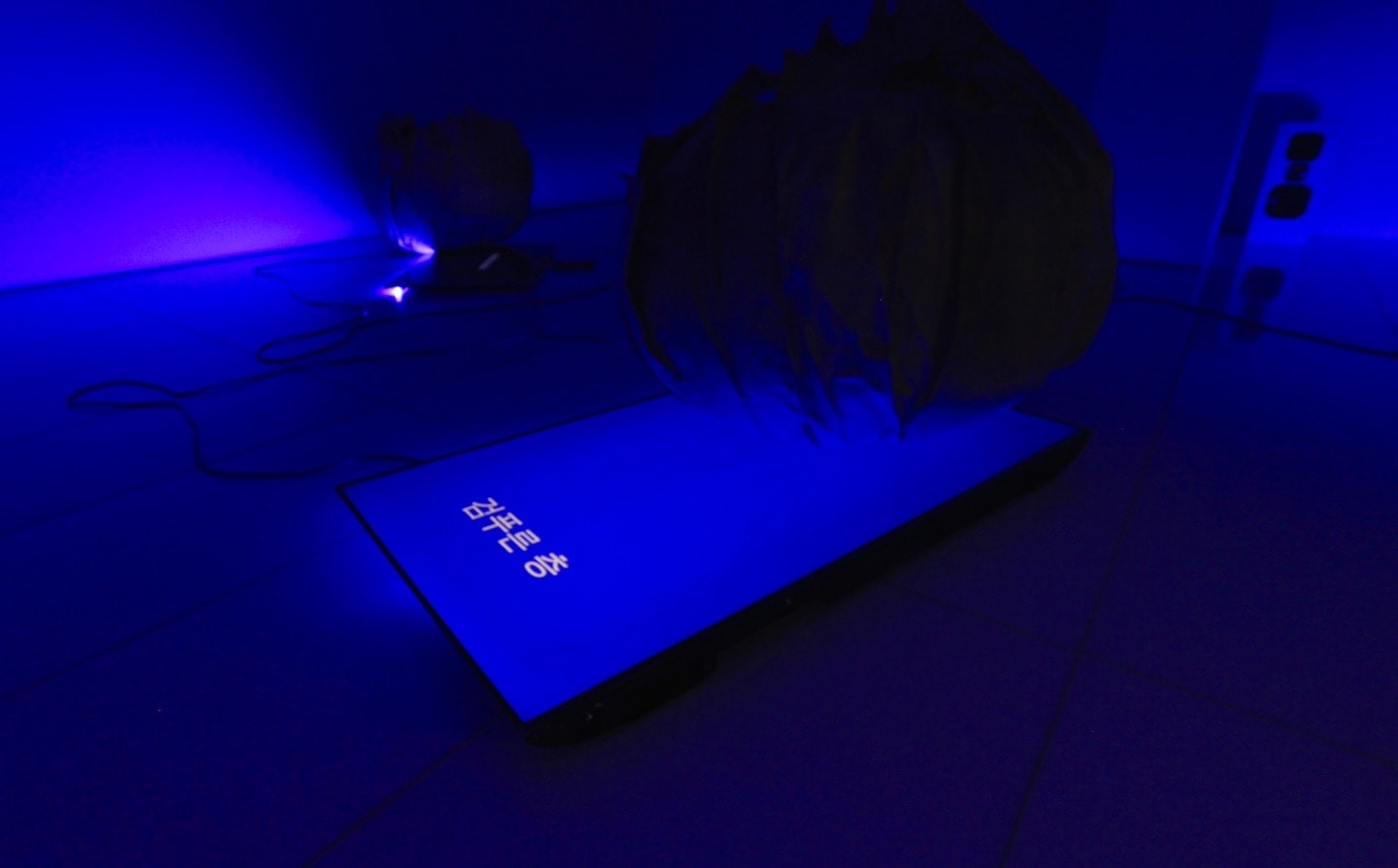 Yohan HÀN, Interpreter (AI-from the deep sea) 해석자(AI-심해에서), 2025