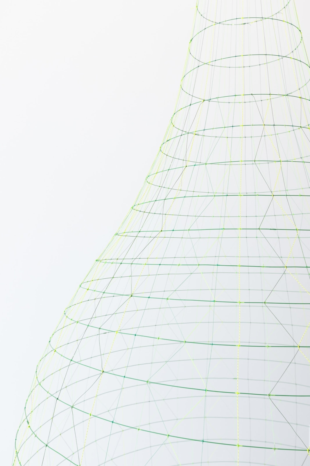 Sarah Stevenson, Chlorophyll, 2025