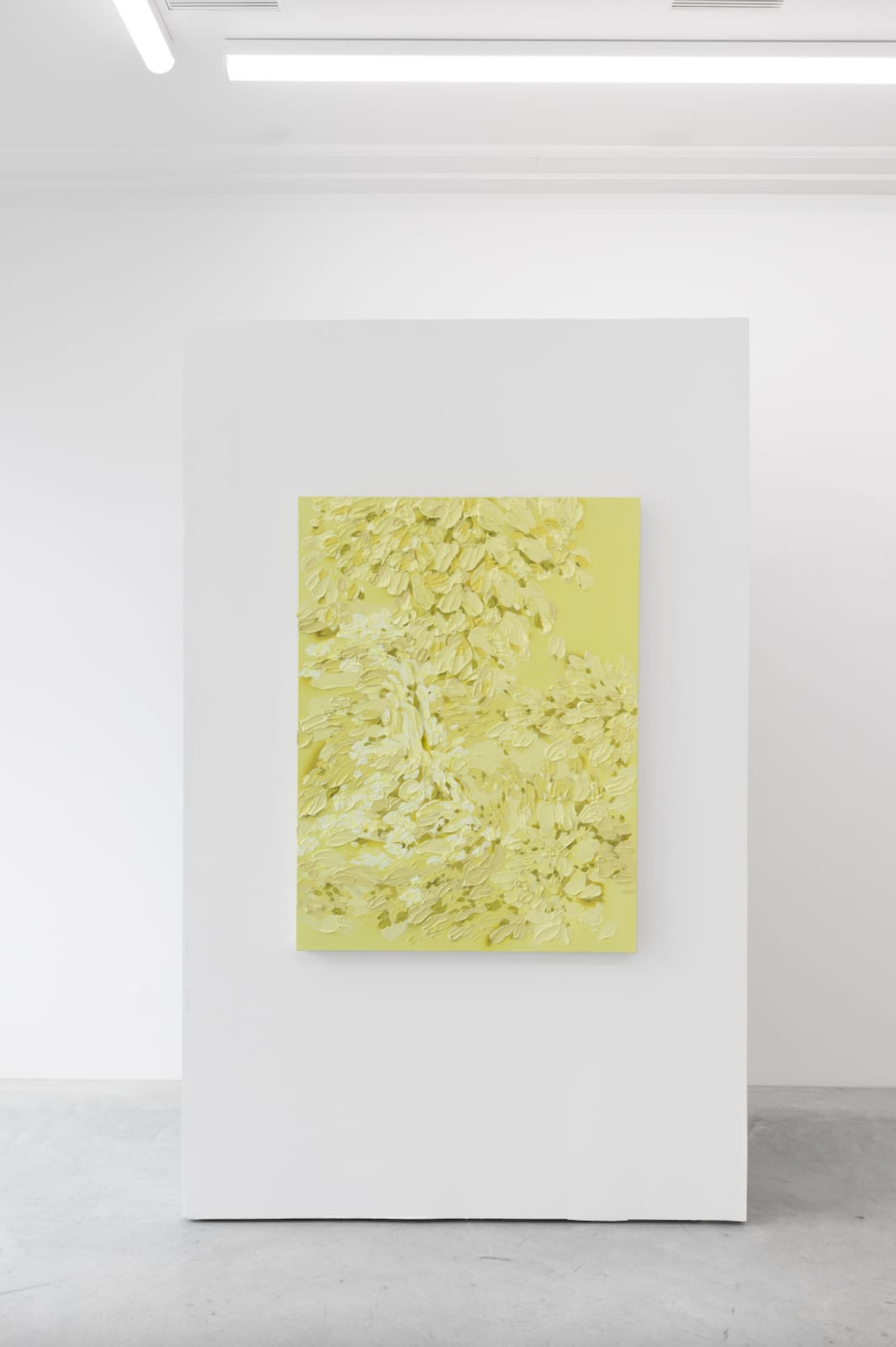Erin Lynn Welsh, Monochromatic 30, 2025