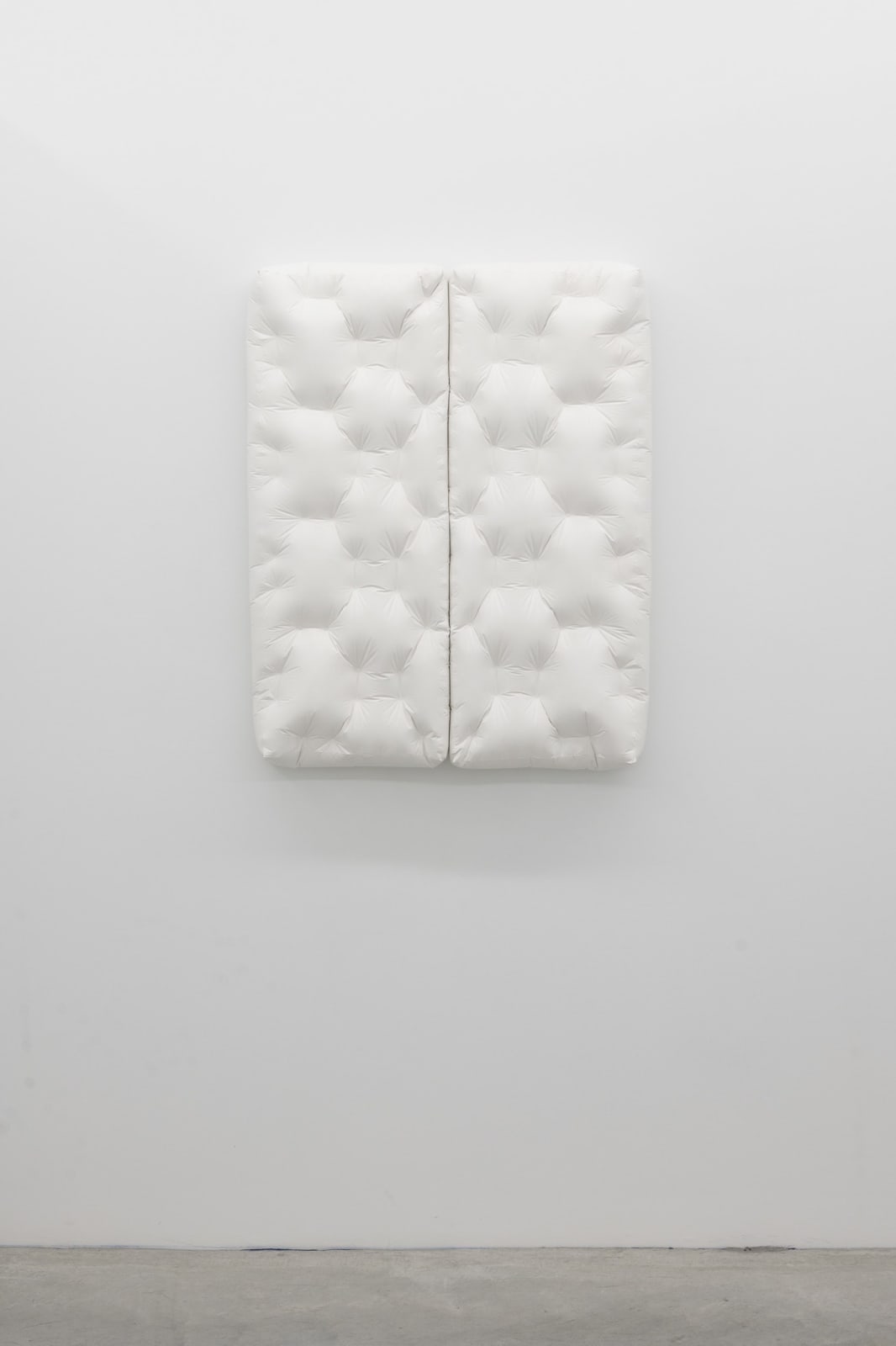 Ian Mcmahon, Nestel press rorschach diptych 39/39pt (7.3.25), 2025