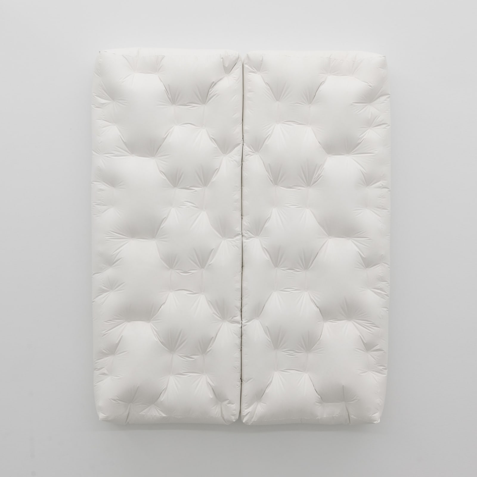 Ian Mcmahon, Nestel press rorschach diptych 39/39pt (7.3.25), 2025
