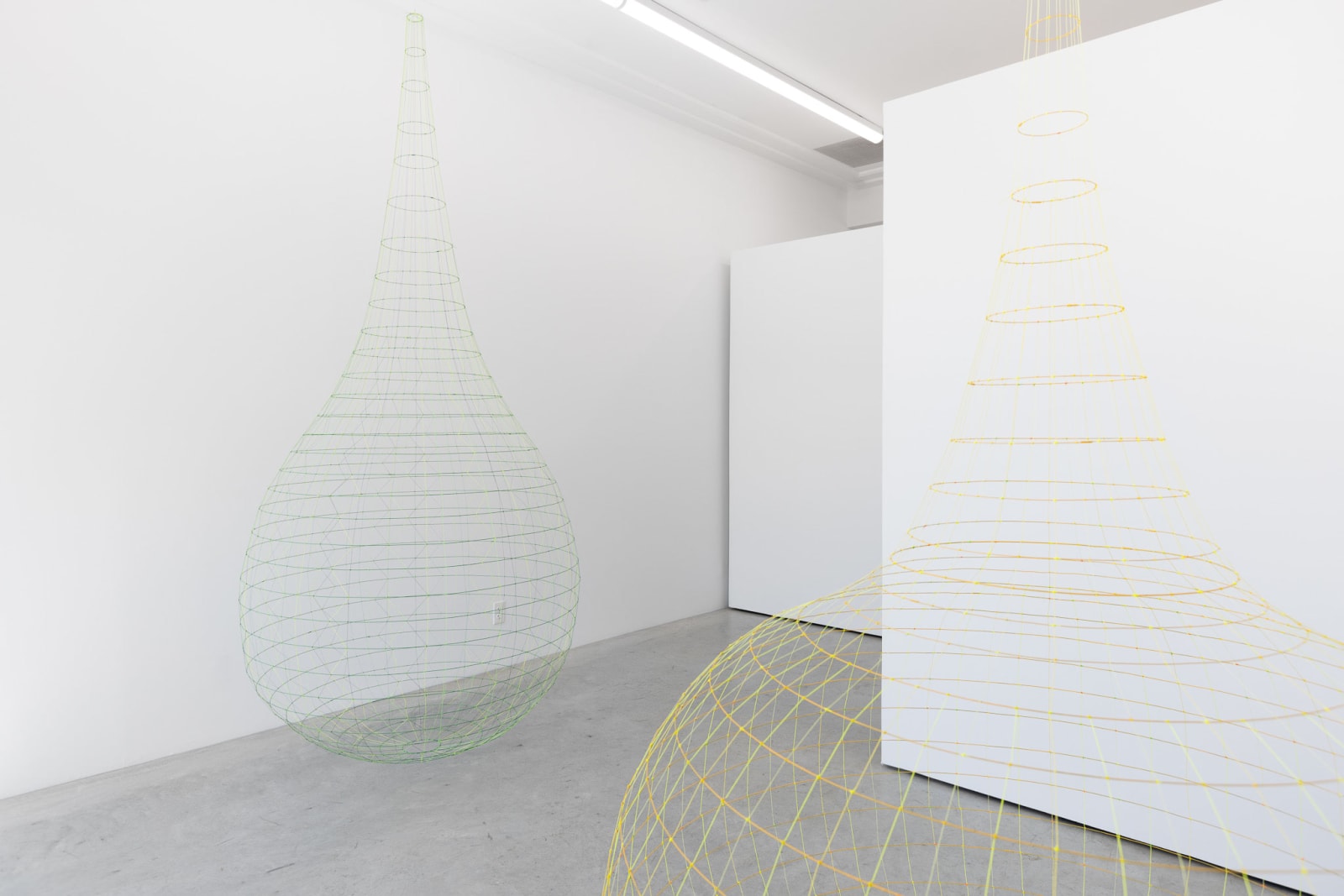 Sarah Stevenson, Tournesol, 2024