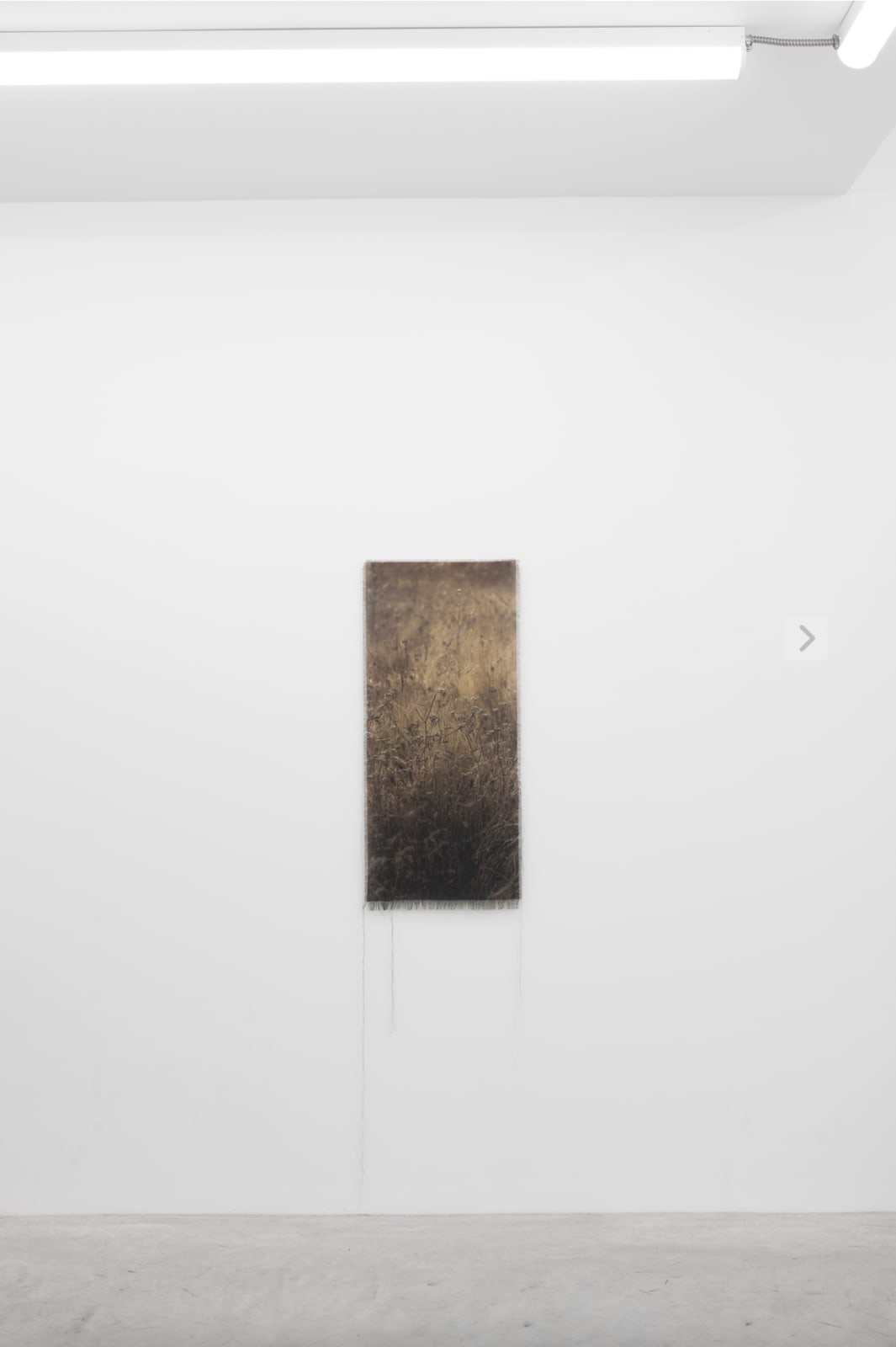 Cas Friese, Along the Way , 2025