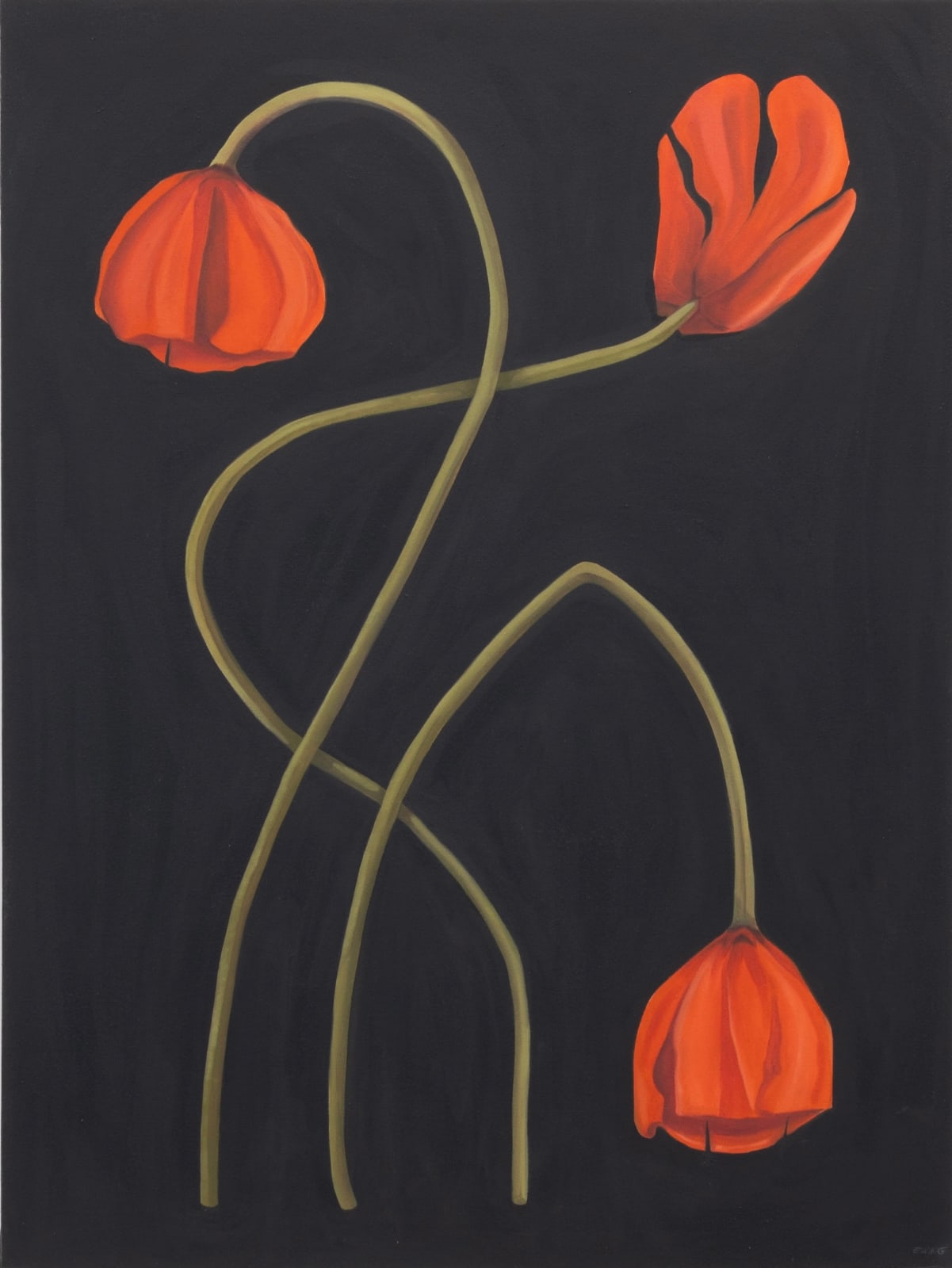 Ben Ewing, Coronaria, 2025
