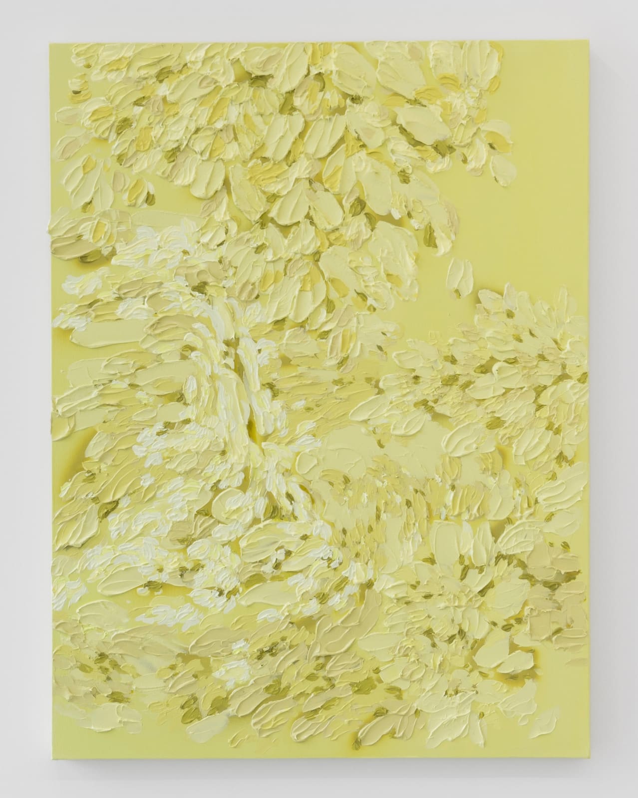 Erin Lynn Welsh, Monochromatic 30, 2025