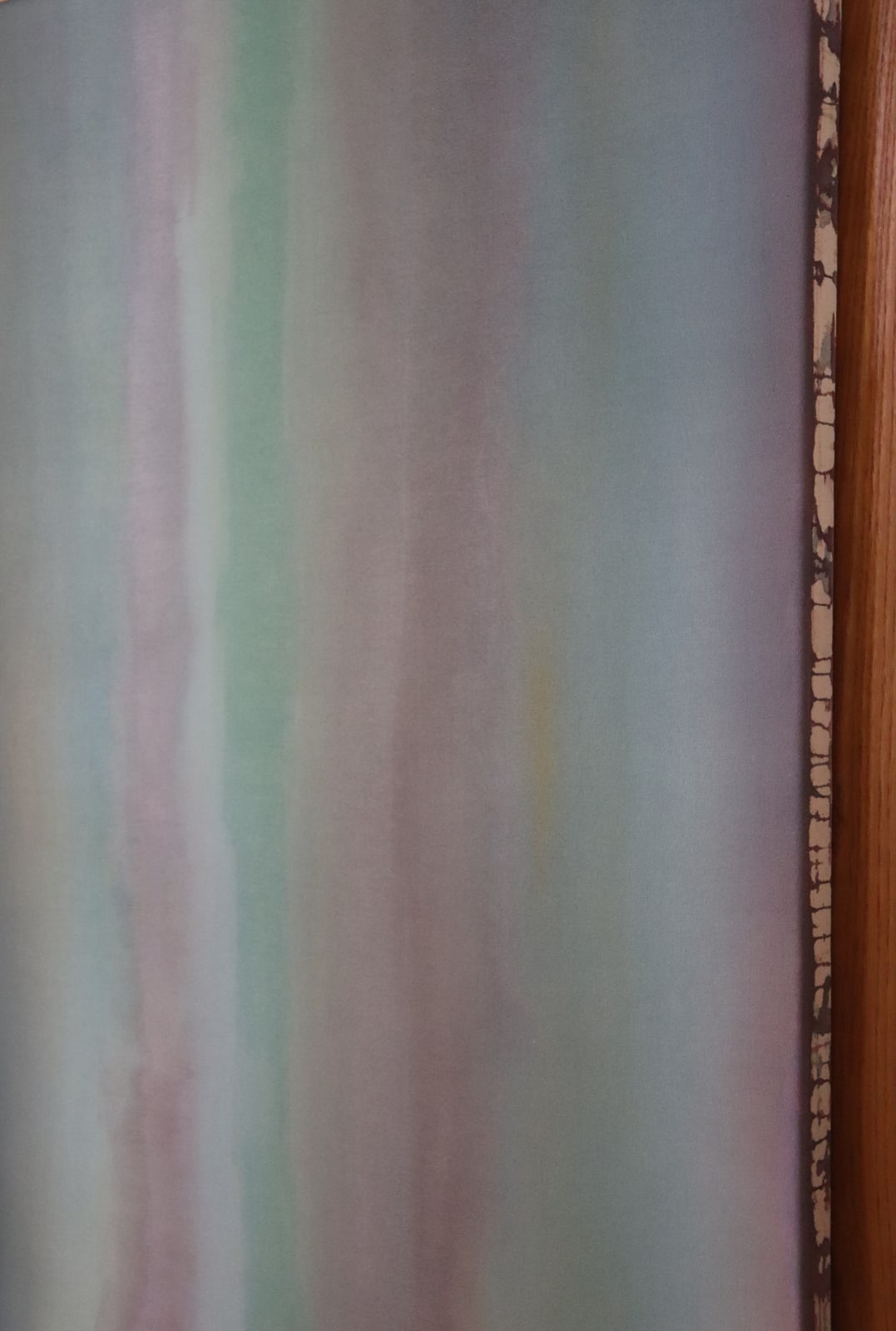 Ali Enache, The Bloom That Never Was, 2025