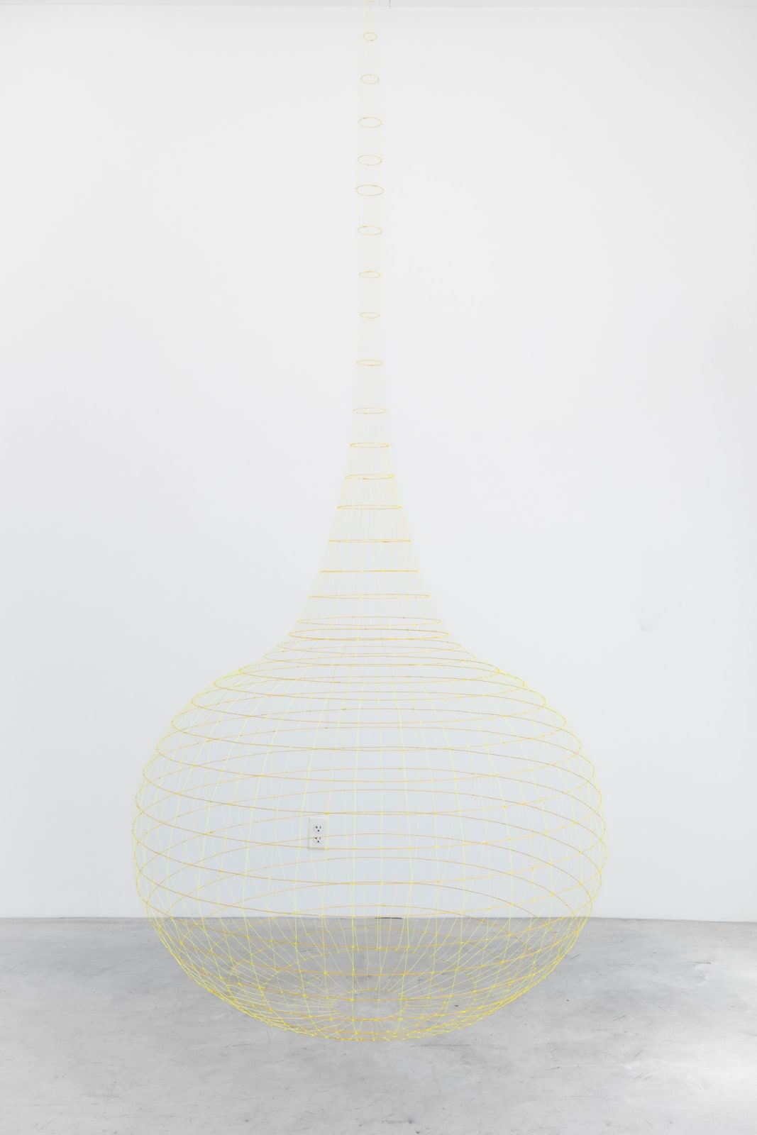 Sarah Stevenson, Tournesol, 2024