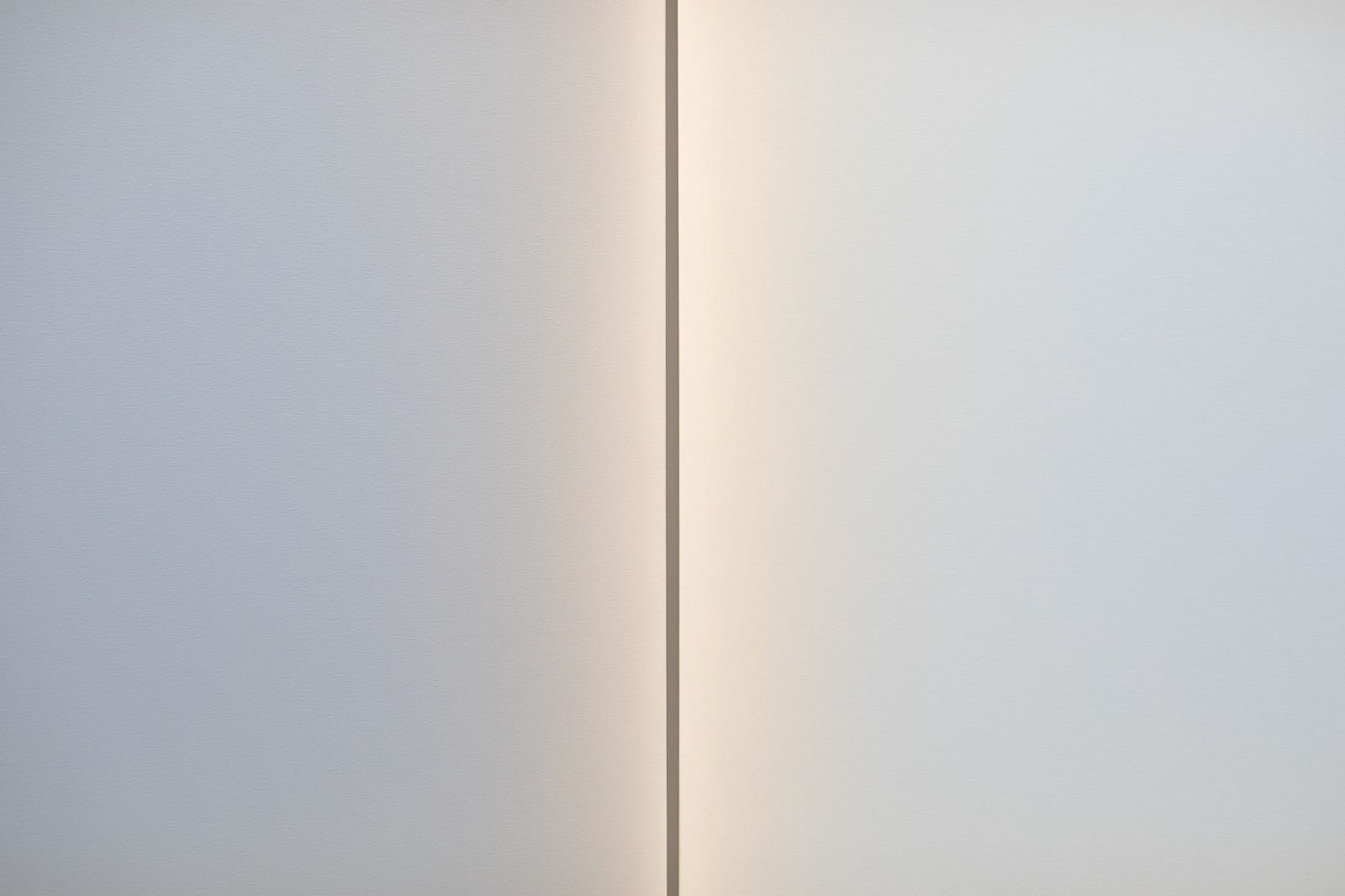 Gwen Hardie, 04.01.25, palest cobalt violet on pale burnt umber, 2025