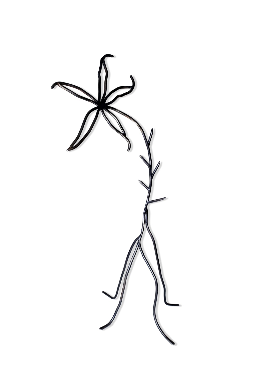 Lane Walkup, Glistening in the Moonlight of the Swamp, 2025
