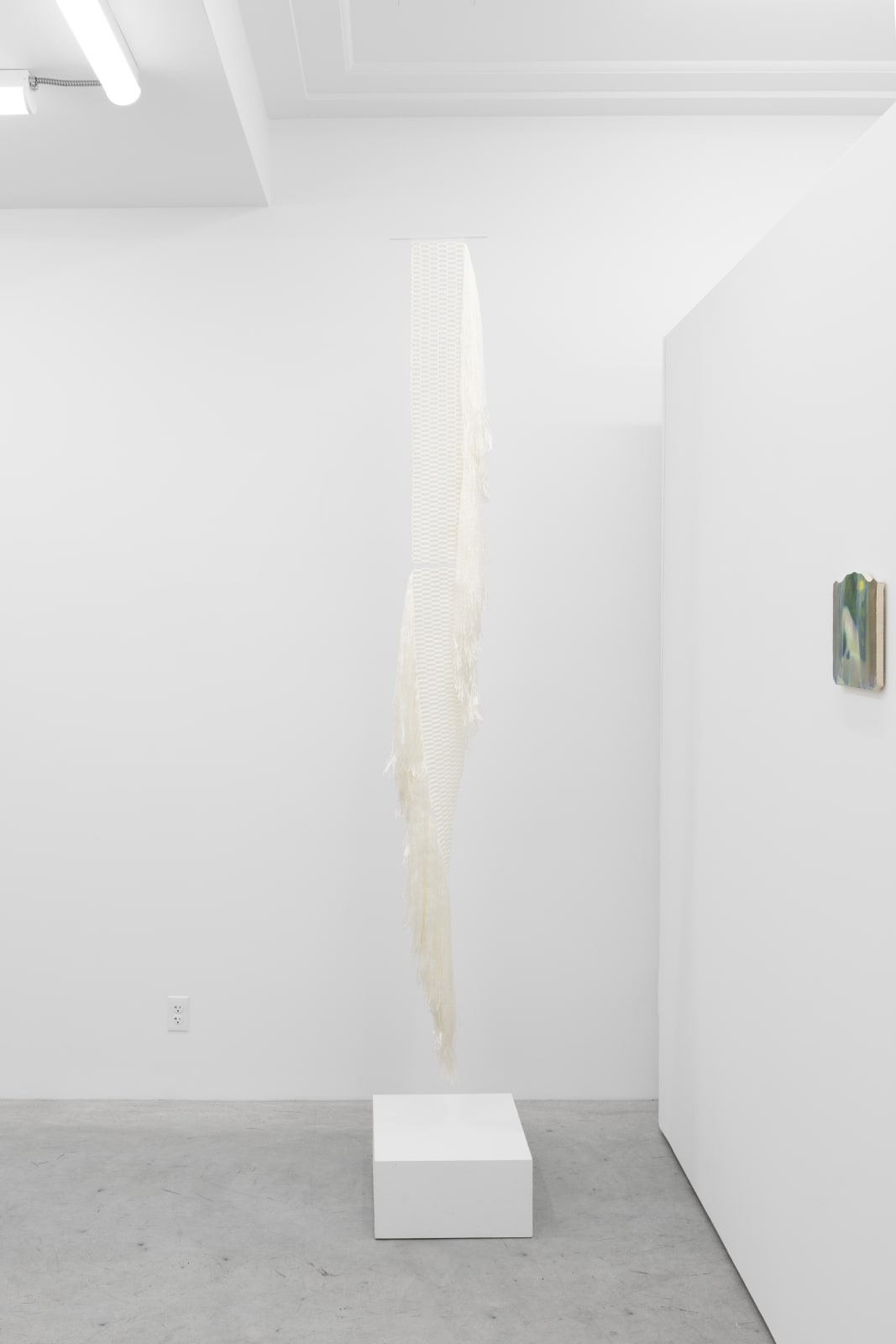 Molly Haynes, Hydra, 2024