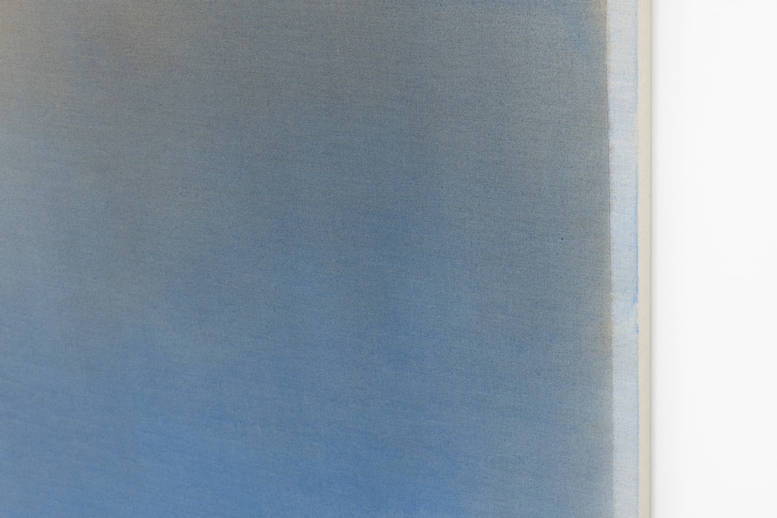 Marisa Purcell, Dreaming Shadow , 2025