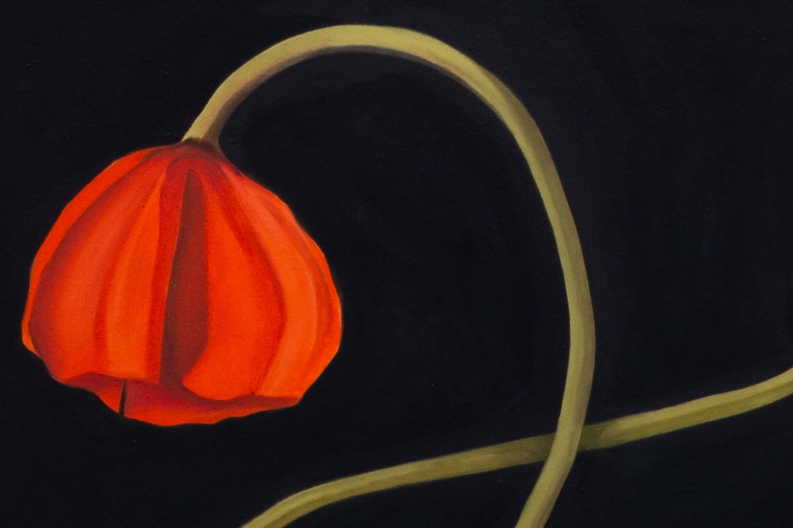 Ben Ewing, Coronaria, 2025
