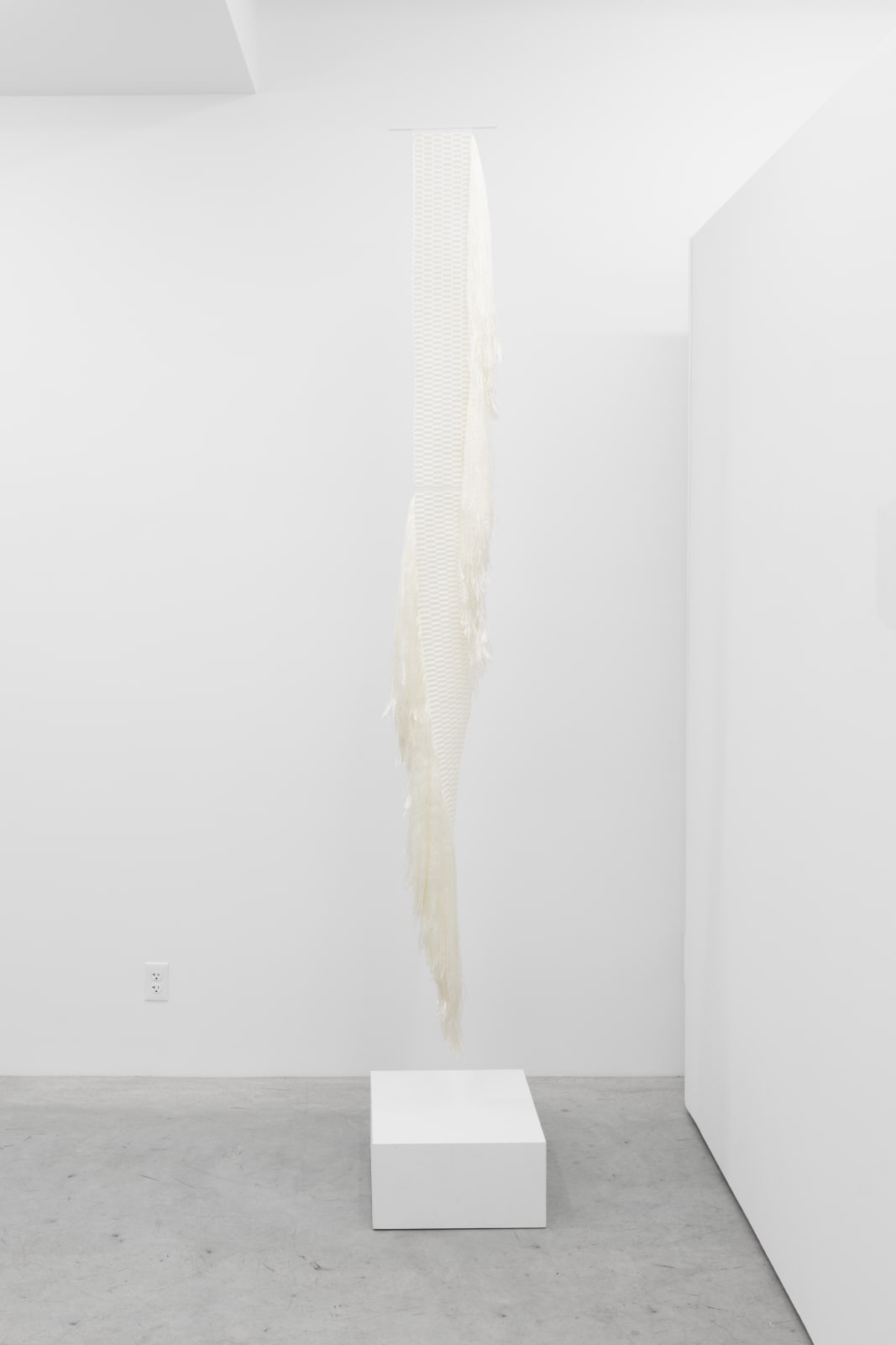 Molly Haynes, Hydra, 2024