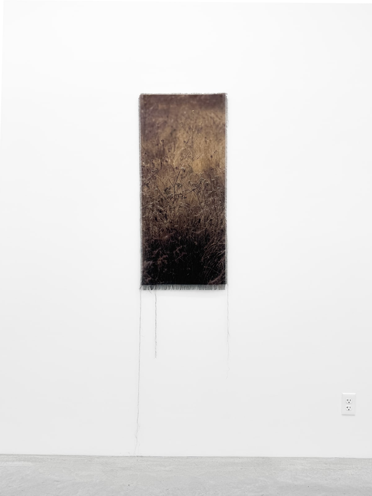 Cas Friese, Along the Way , 2025