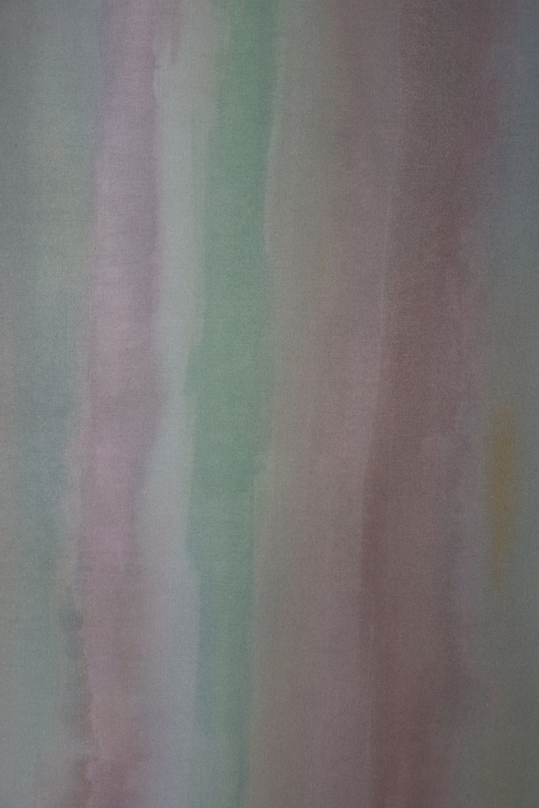 Ali Enache, The Bloom That Never Was, 2025