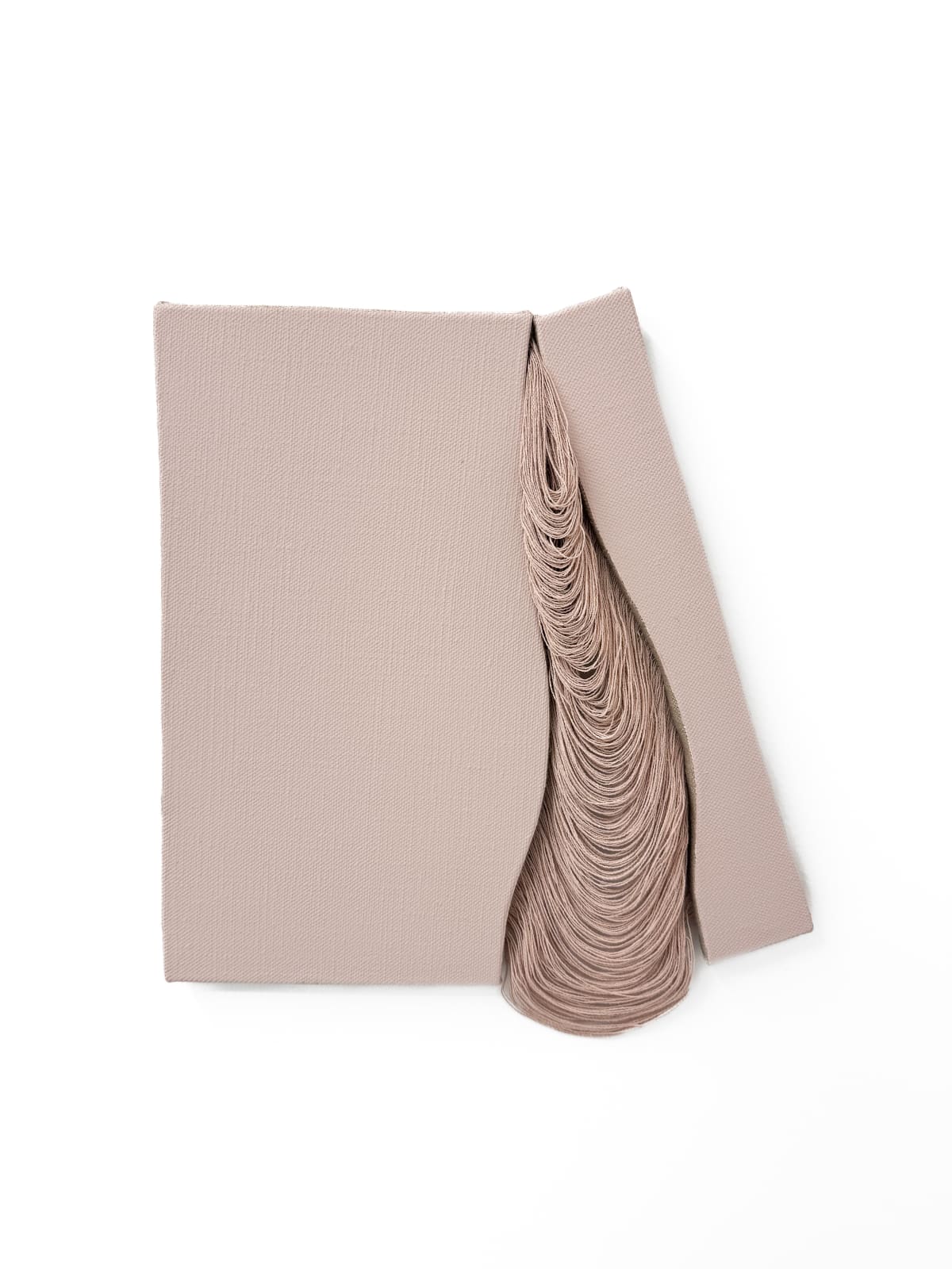 Graziela Guardino, Hiatus Rose II, 2024