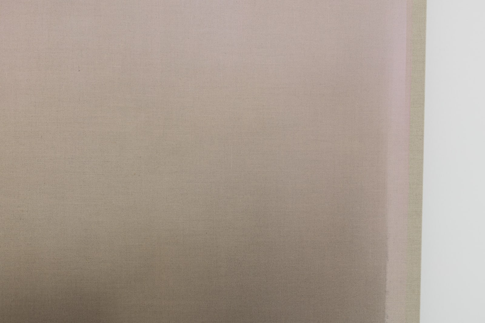 Marisa Purcell, In the Light of Shade, 2025