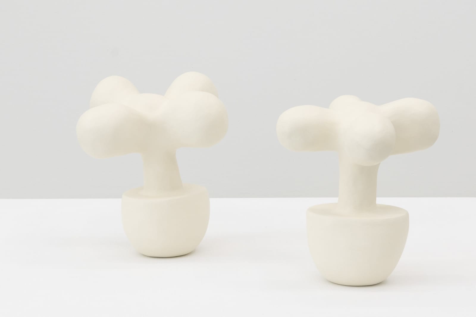 Re Jin Lee, Plant No. 21 , 2025