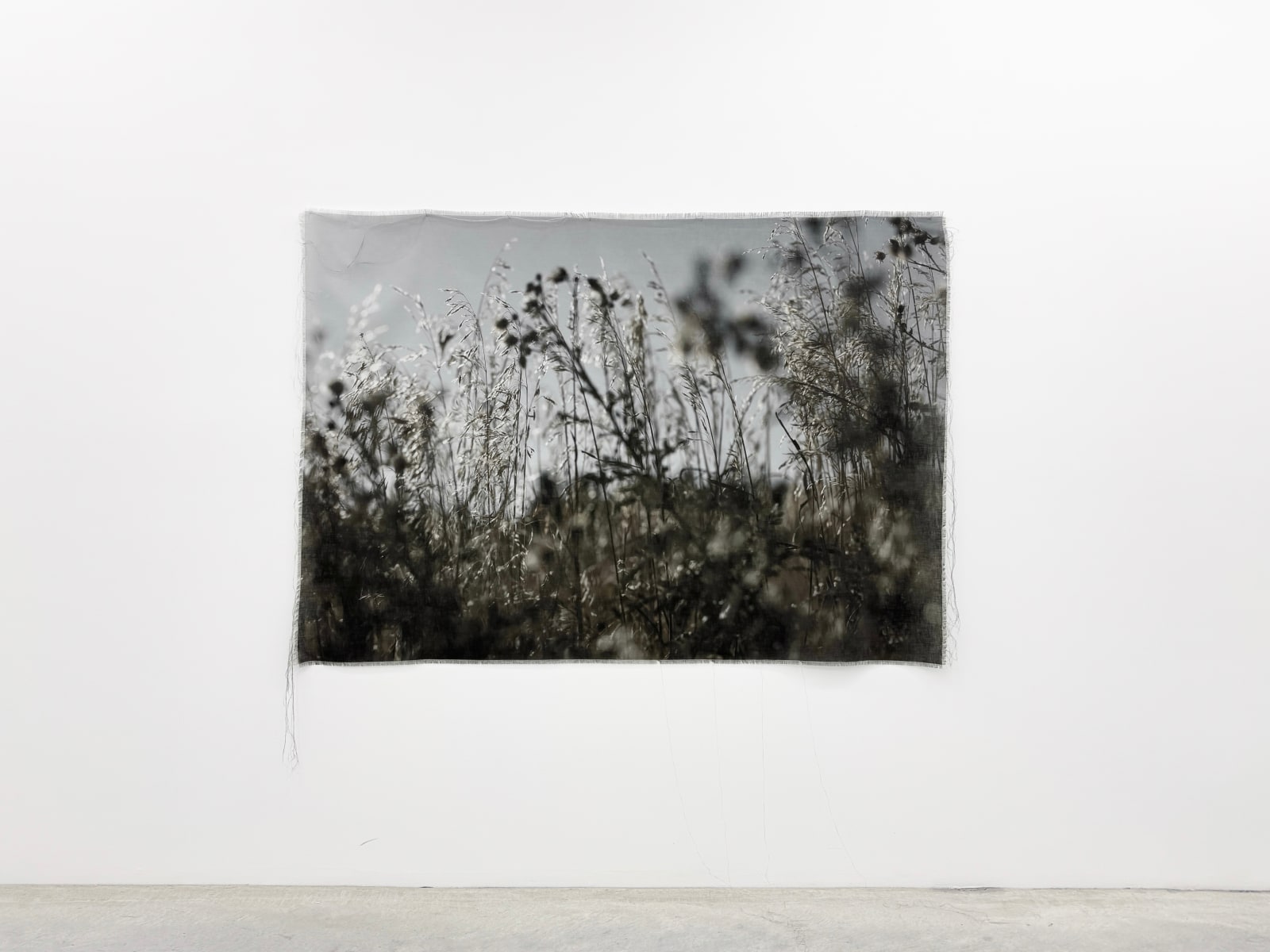 Cas Friese, As You See It , 2025