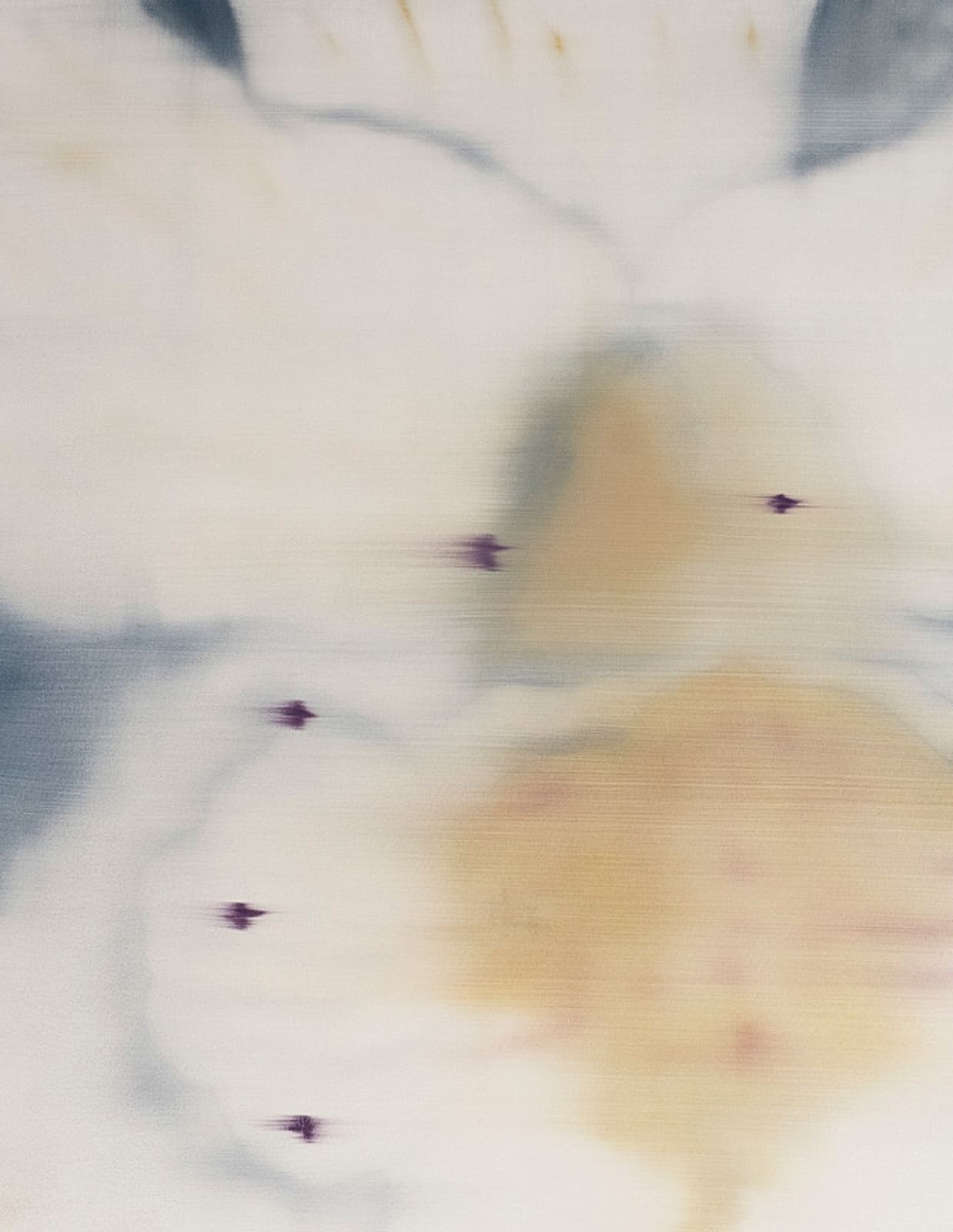 Heath Wae, The Flower Has No Petal , 2025