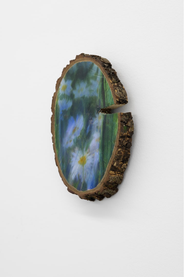 Sophie Smorczewski, Oxeye , 2025