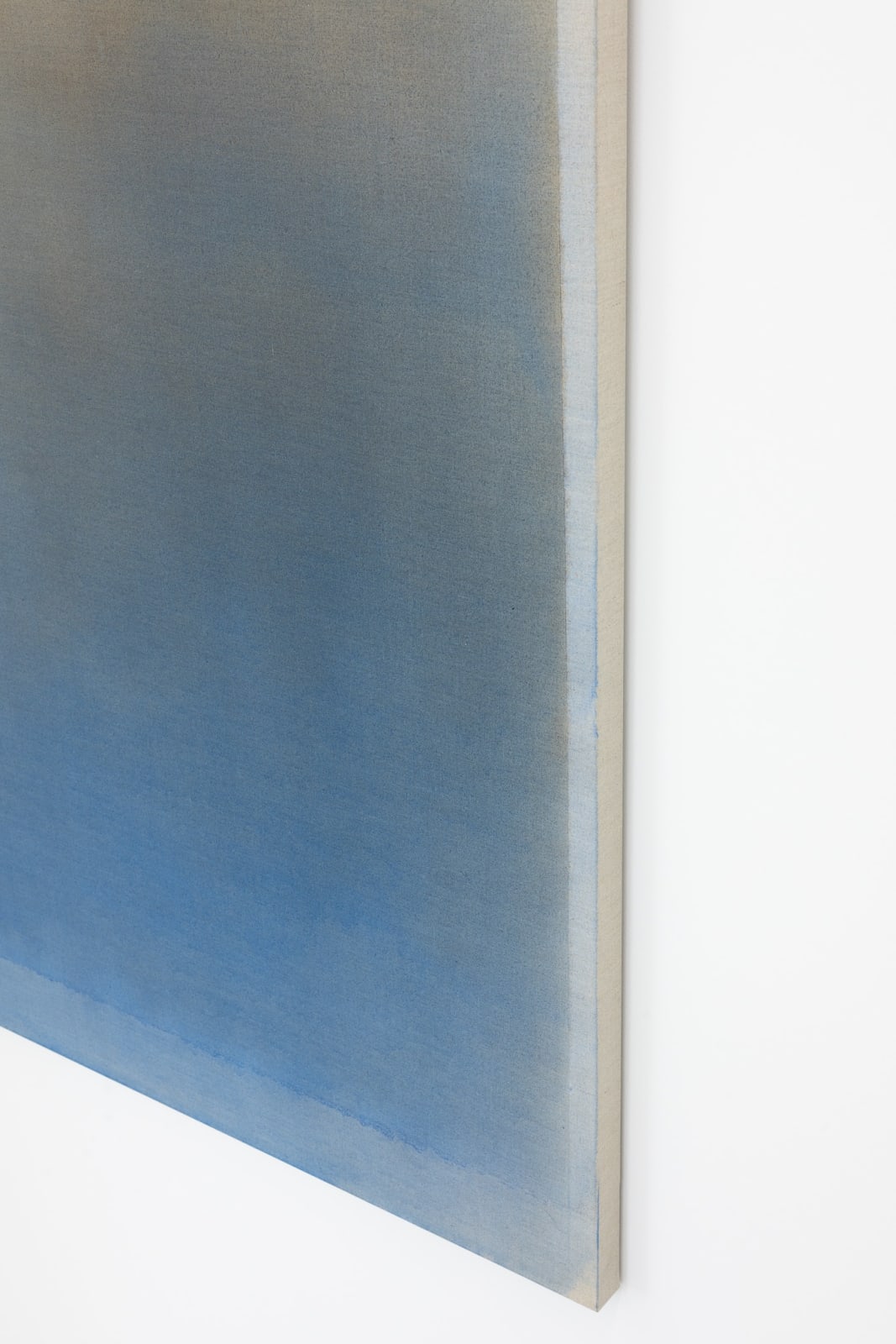 Marisa Purcell, Dreaming Shadow , 2025