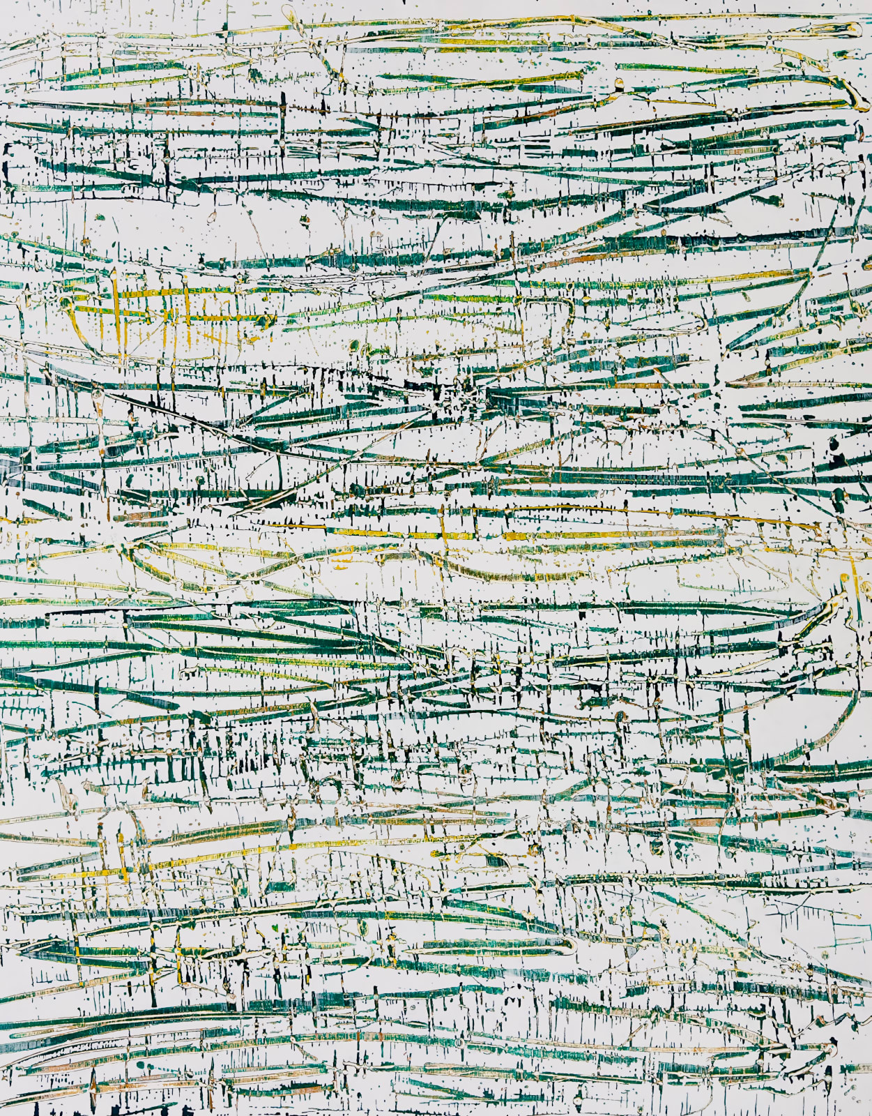 Kinga Czerska, VIRIDIAN GROVE