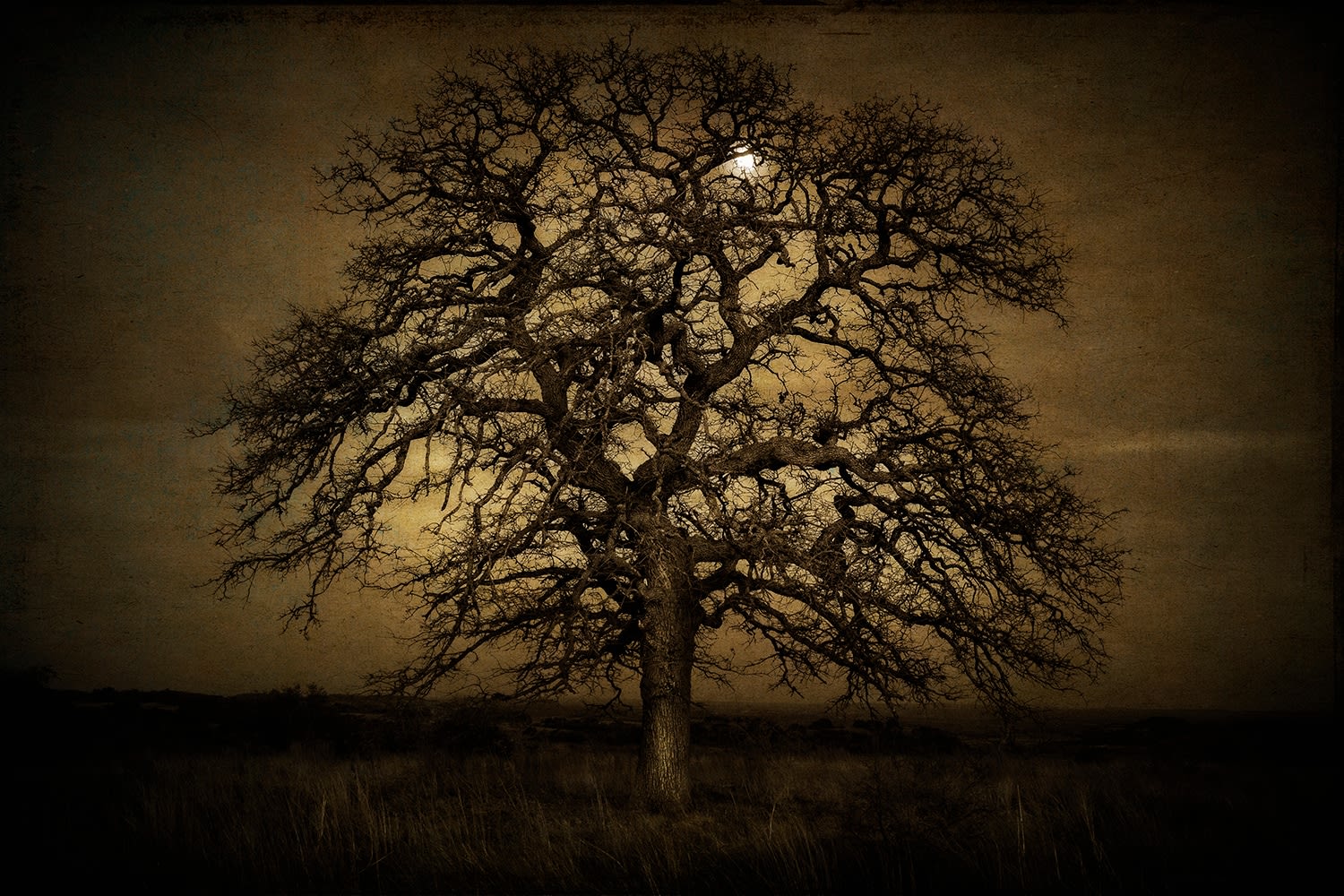 Rusty Yates, MOON IN POST OAK