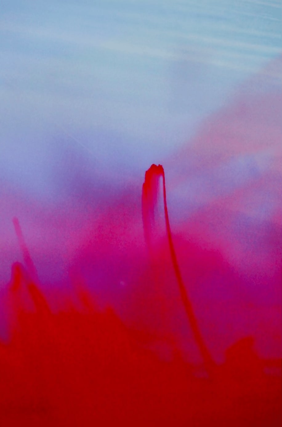 Heather Carisch, ICON