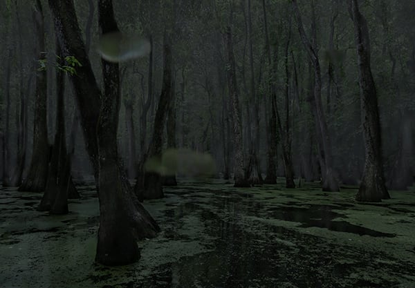 Jeanine Michna-Bales, Cypress Swamp, Middle Mississippi, 2014