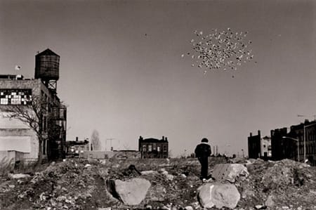 Builder Levy, Pigeon Cloud, Bushwick, Brooklyn, 1987