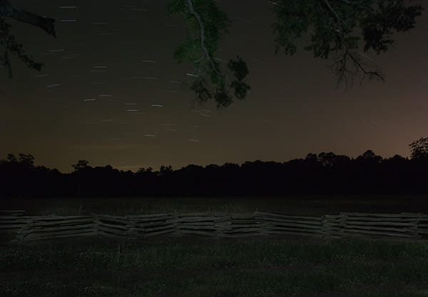 Jeanine Michna-Bales, Tracking the Deer, Skirting the Osburn Stand, Mississippi, 2014