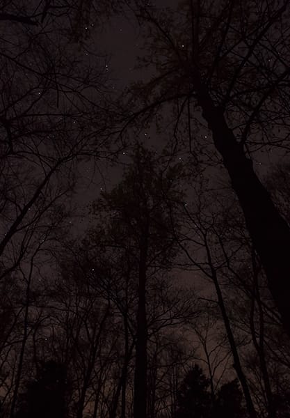 Jeanine Michna-Bales, A Lesson in Astronomy, Southern Kentucky, 2014