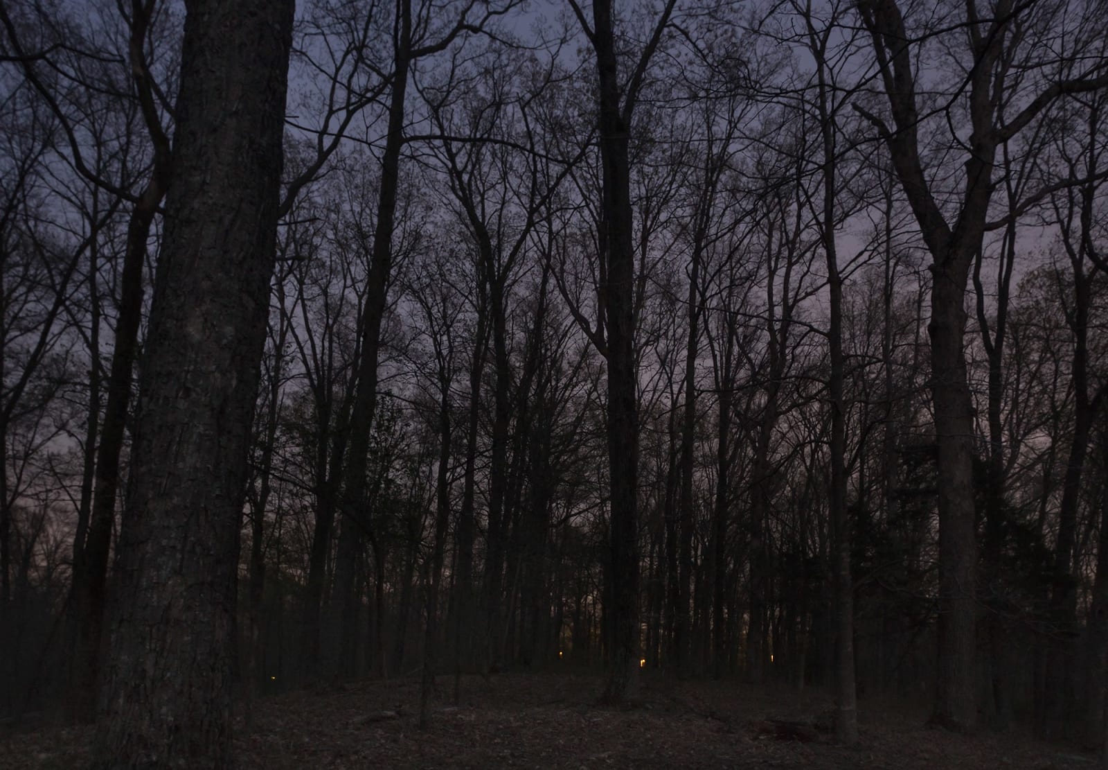 Jeanine Michna-Bales, Fleeing the Torches. Warren County, Kentucky, 2014