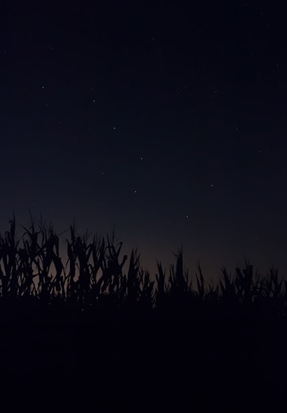 Jeanine Michna-Bales, Follow the Drinking Gourd, Jefferson County, Indiana, 2013