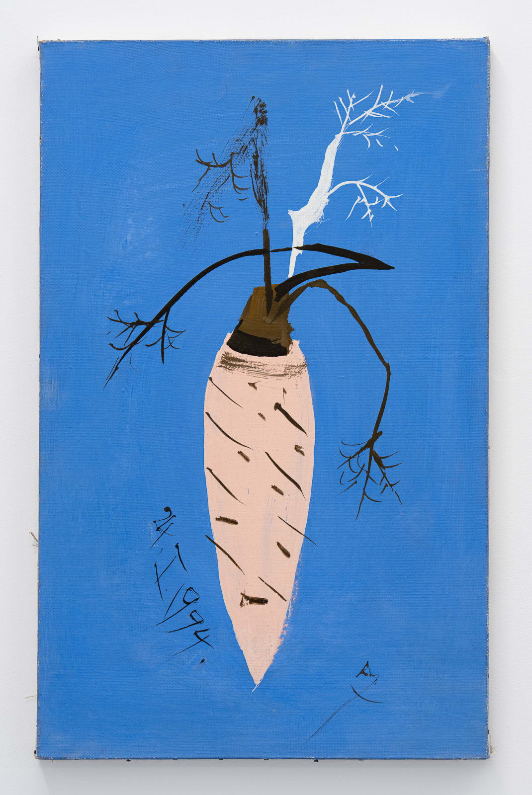 Florin Mitroi, 24.I.1994, 1994