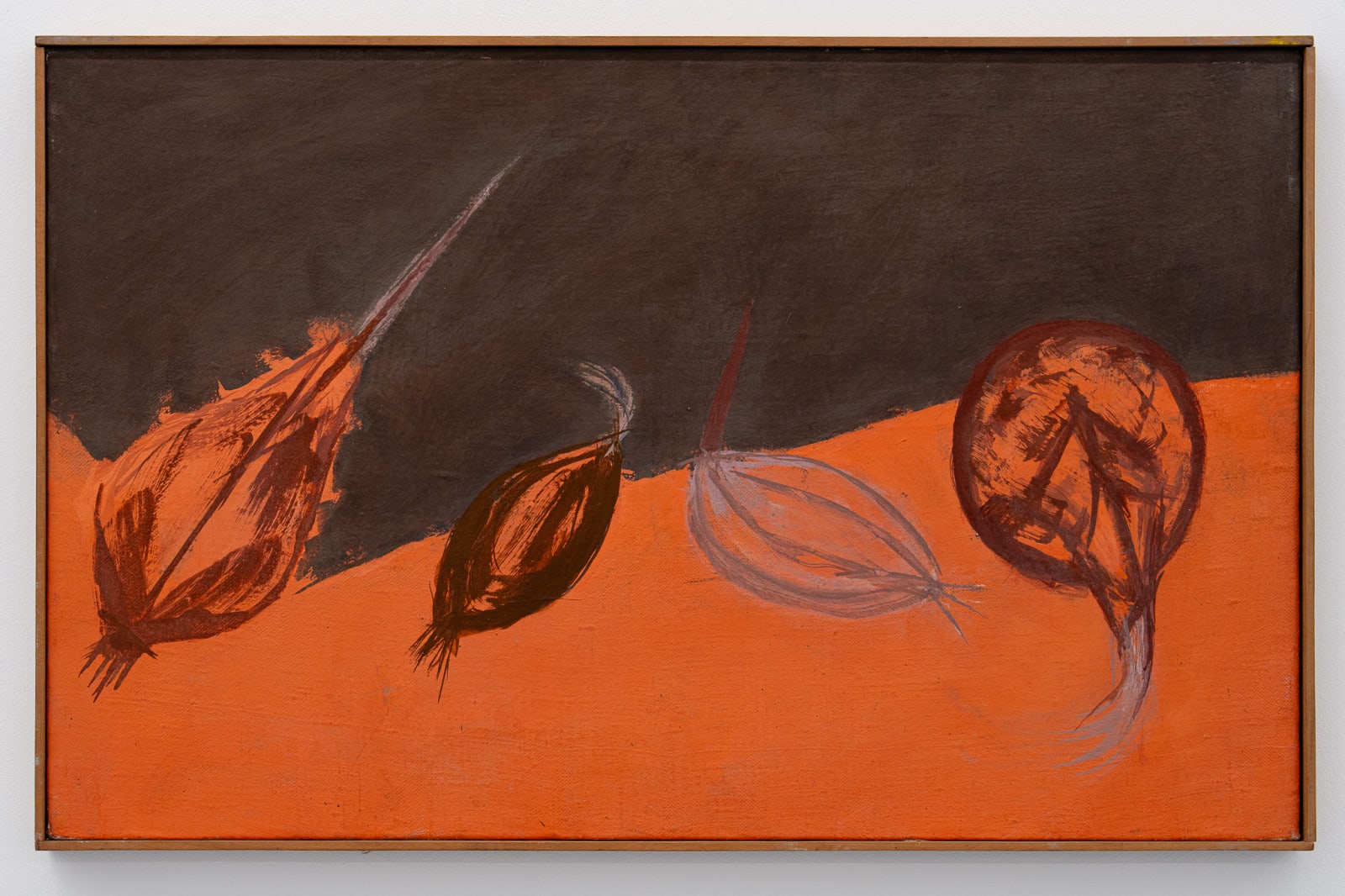 Florin Mitroi, Onions, 1975