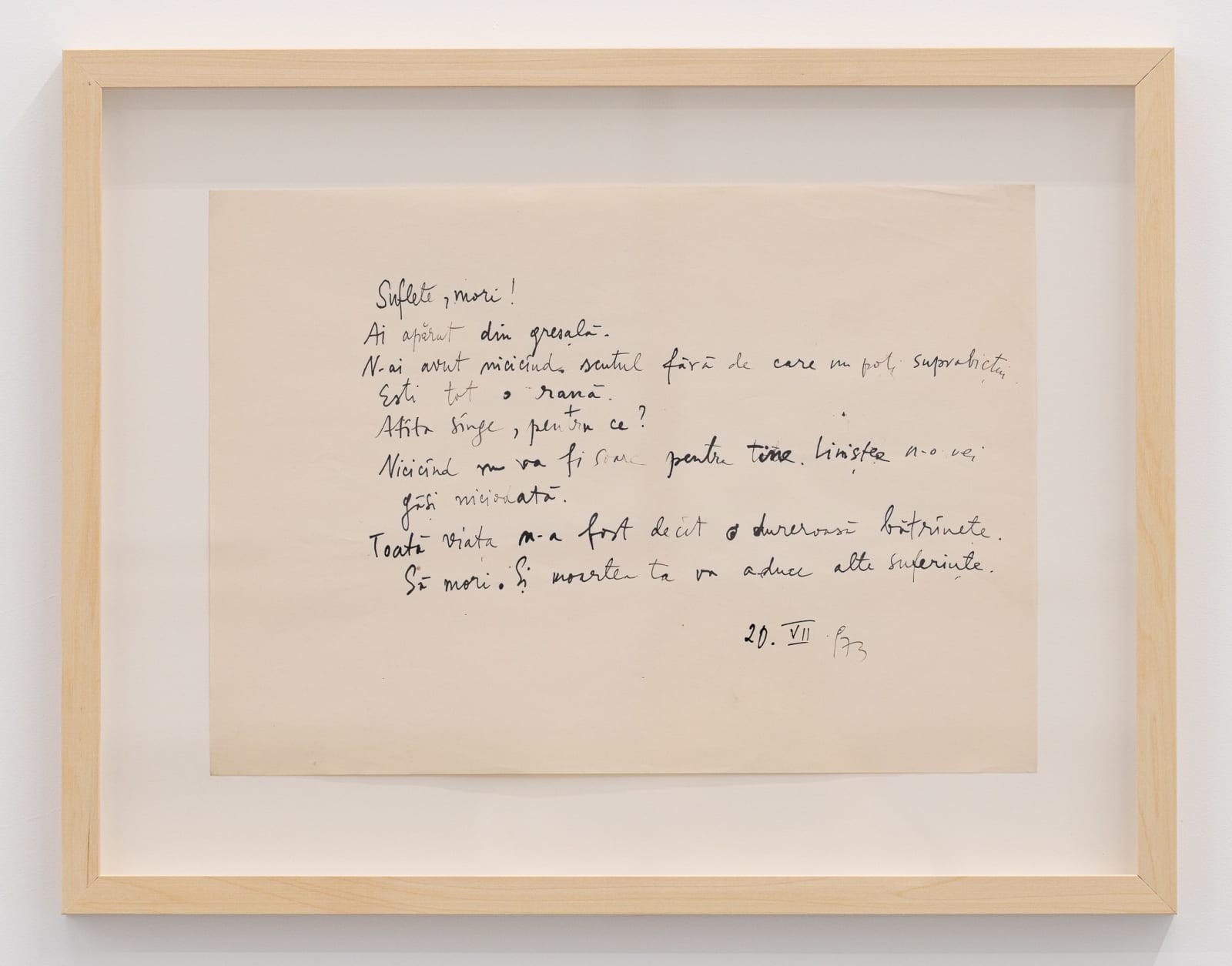 Florin Mitroi, 20.VII.1973, 1973