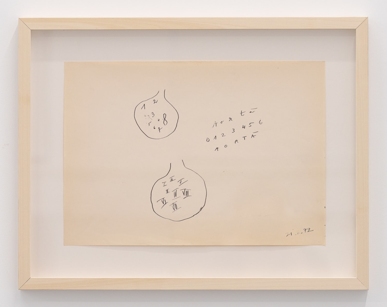 Florin Mitroi, 21.6.1972, 1972